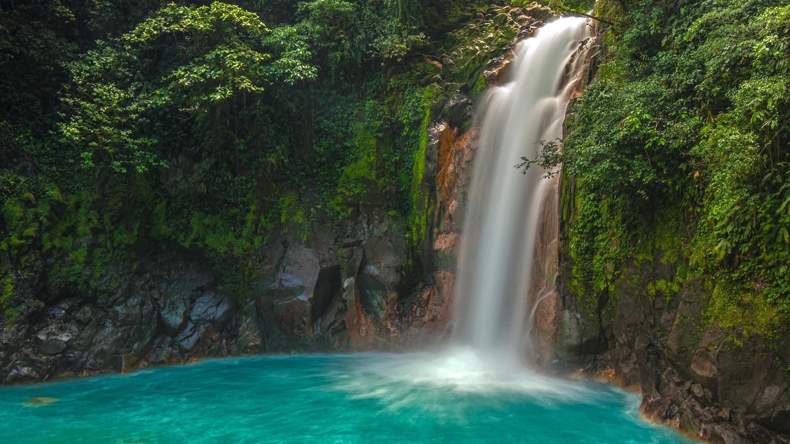 Quelle est la meilleure période pour visiter le Costa Rica ? - background banner